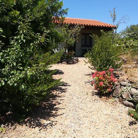 Agriturismo Su Birde Orosei Bagian luar foto