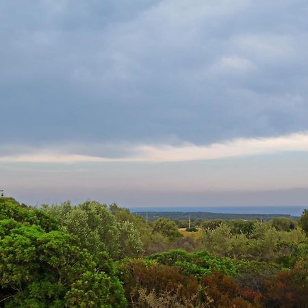Agriturismo Su Birde Orosei Bagian luar foto