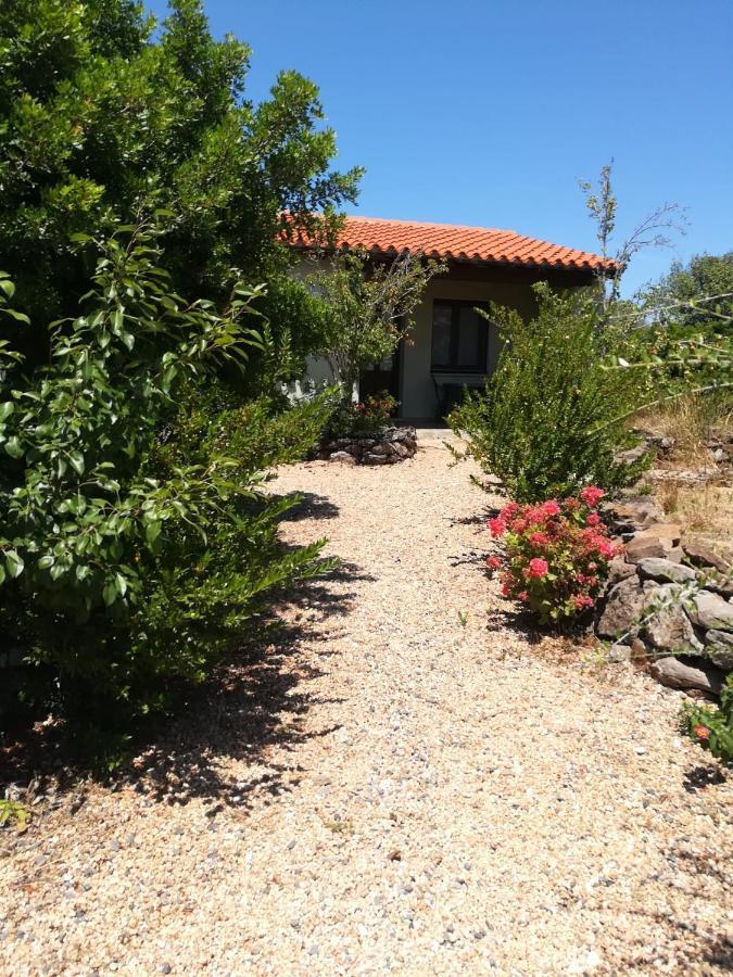 Agriturismo Su Birde Orosei Bagian luar foto